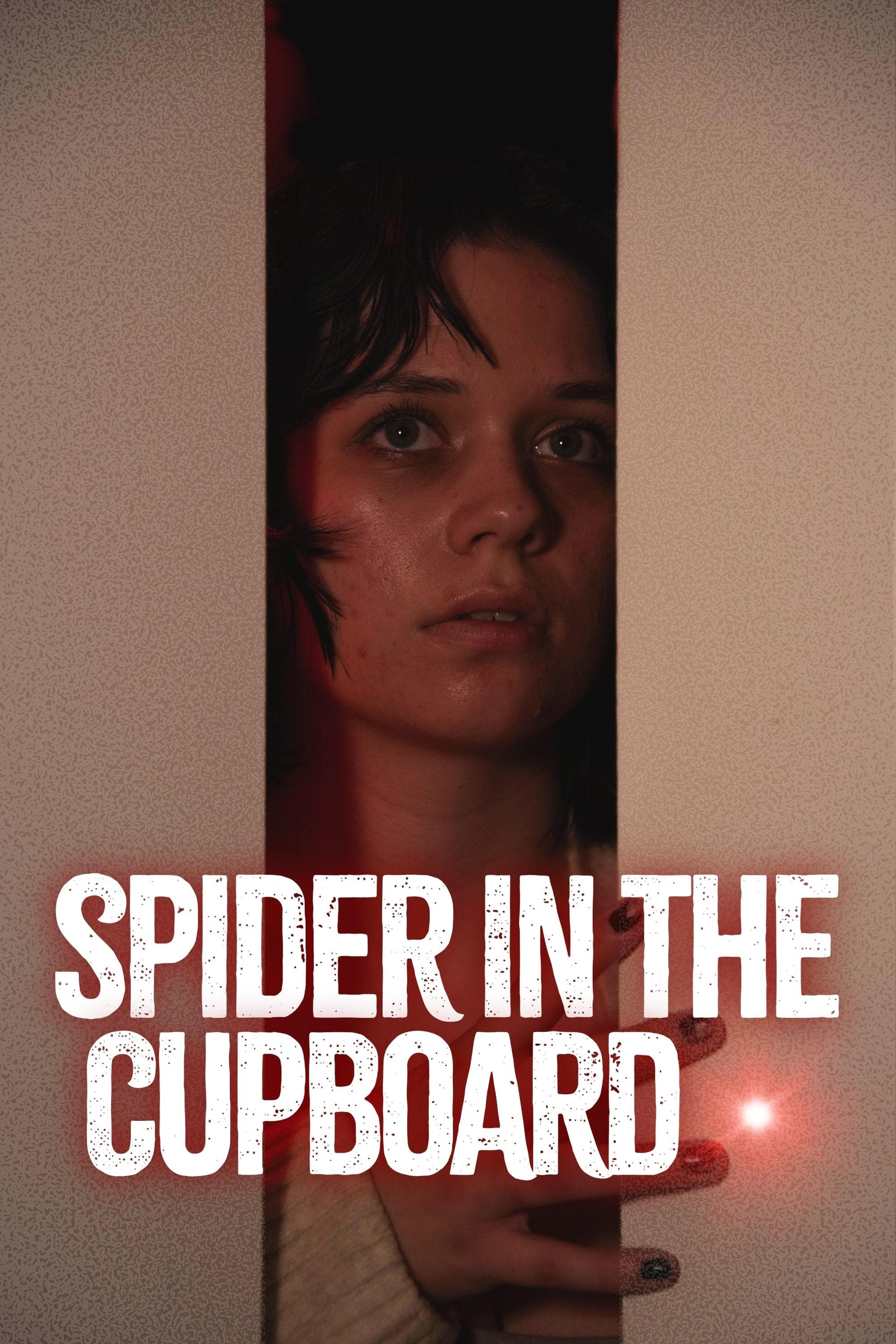 Spider in the Cupboard