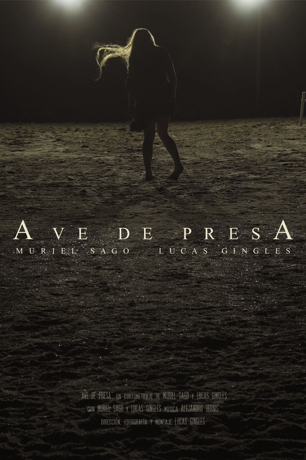 Ave de Presa